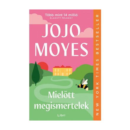 Mielőtt megismertelek
