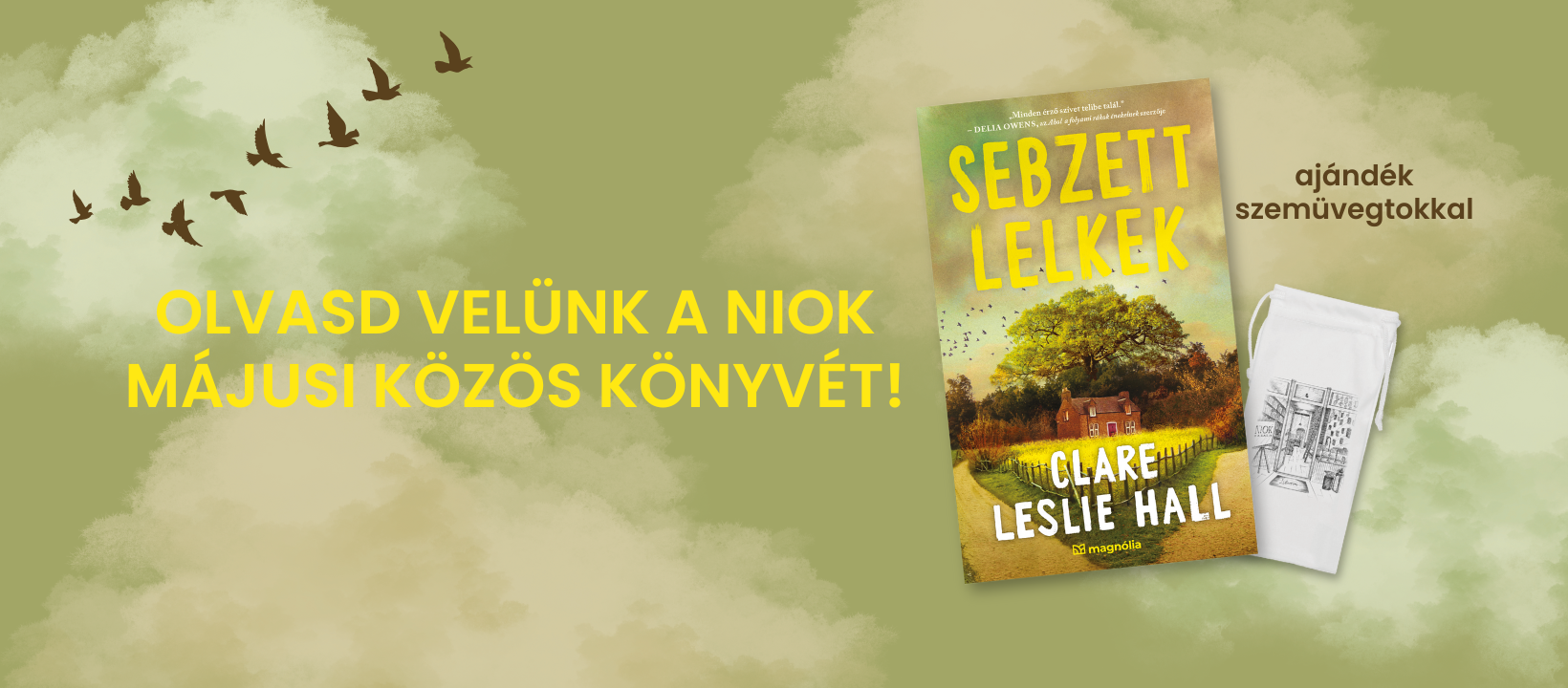 Miért gondolják világszerte, hogy tökéletes regény a Sebzett lelkek? Soroljuk a válaszokat!